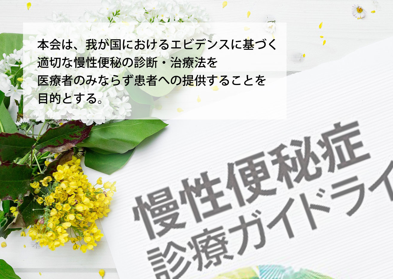 本会は、我が国におけるエビデンスに基づく適切な慢性便秘の診断・治療法を医療者のみならず患者への提供することを目的とする。特に、以下の課題を中心的に扱う。